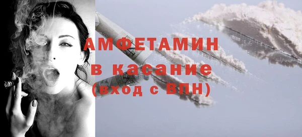 индика Алзамай