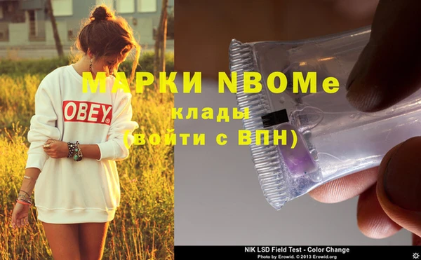 индика Алзамай
